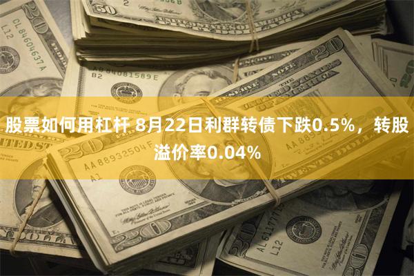 股票如何用杠杆 8月22日利群转债下跌0.5%，转股溢价率0.04%