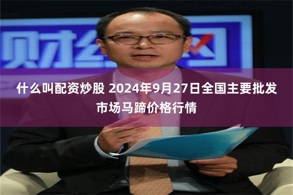 什么叫配资炒股 2024年9月27日全国主要批发市场马蹄价格行情