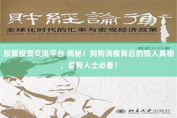 股票投资交流平台 揭秘！狗狗消瘦背后的惊人真相，爱狗人士必看！