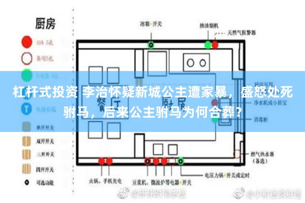 杠杆式投资 李治怀疑新城公主遭家暴，盛怒处死驸马，后来公主驸马为何合葬？