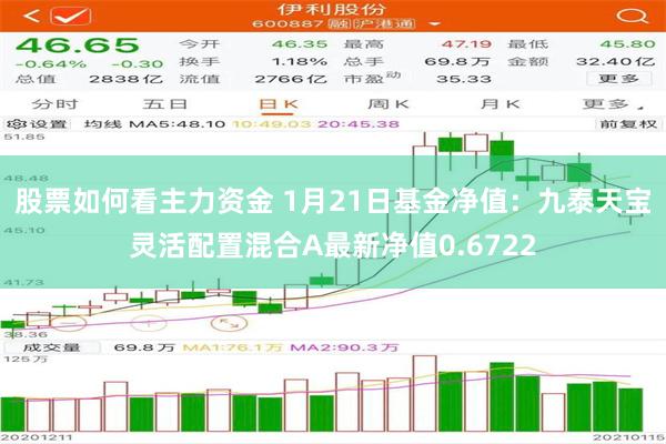 股票如何看主力资金 1月21日基金净值：九泰天宝灵活配置混合A最新净值0.6722